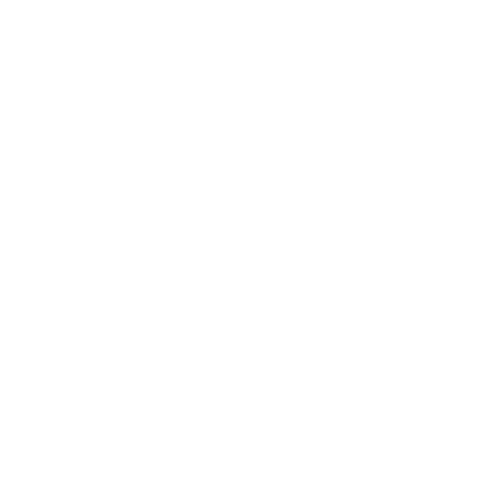 TM Vehicle Icon